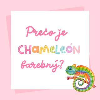 Vitaj v mojej novej rubrike „Dobre vedieť“, kde budeme spolu objavovať fascinujúce veci zo sveta prírody, vedy, zvierat či...